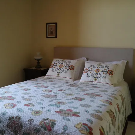 Quinta De Canhoes São Pedro do Sul