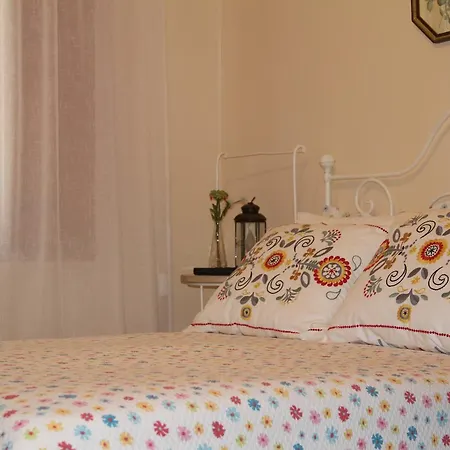 Quinta De Canhoes * São Pedro do Sul