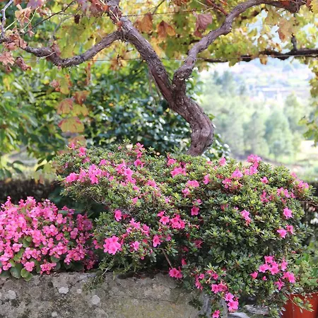 Lantställe Quinta De Canhoes São Pedro do Sul