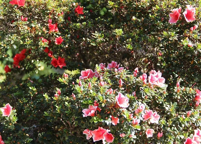 Venkovský dům Quinta De Canhoes São Pedro do Sul