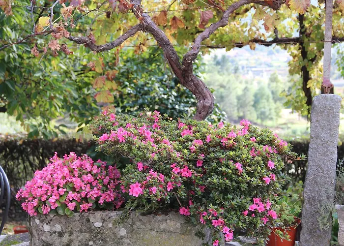 Venkovský dům Quinta De Canhoes São Pedro do Sul
